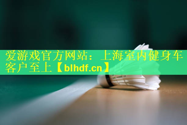 爱游戏官方网站：上海室内健身车客户至上