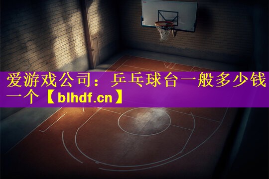 爱游戏公司：乒乓球台一般多少钱一个