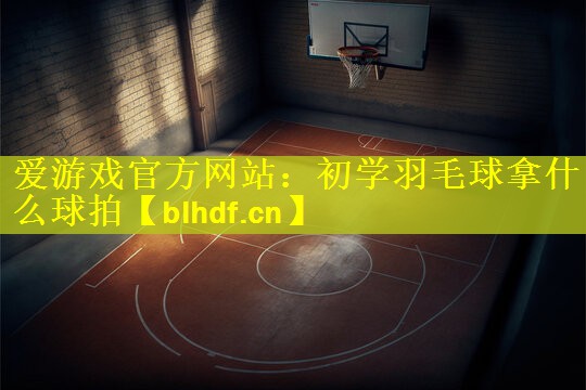 初学羽毛球拿什么球拍